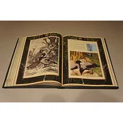 Настольная книга охотника — книга для мужчины в подарок — фотография 3
