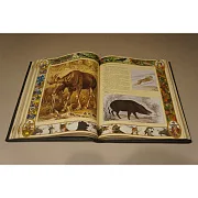 Настольная книга охотника — книга для мужчины в подарок — фотография 4