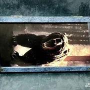 На память: Нарды под стеклом «Хозяин тайги» — фотография 8