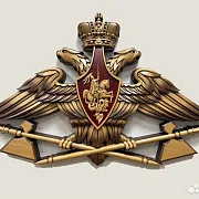 Резной герб МТО ВС РФ из бука — необычный подарок — фотография 1