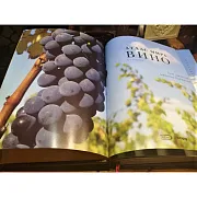 Атлас мира вино в футляре — книга для мужчины — необычный подарок — фотография 6